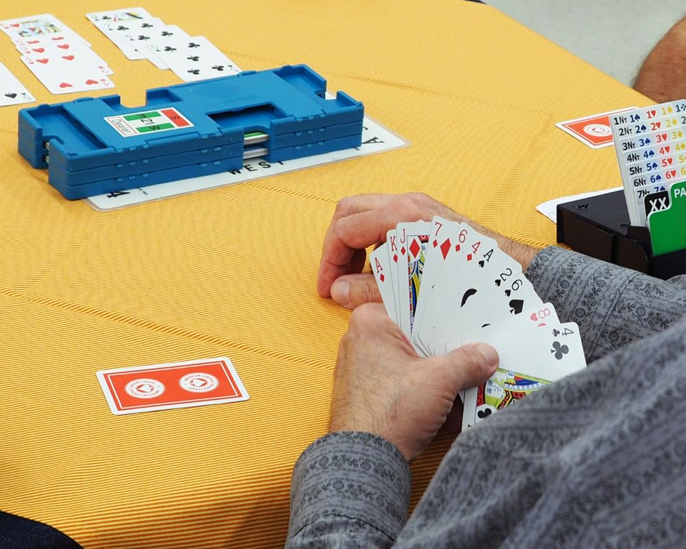 A player fanning their hand at the bridge table