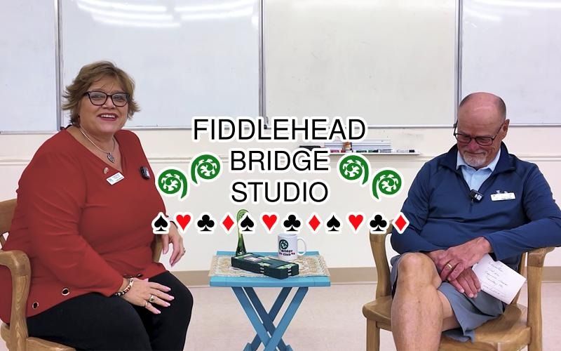 Interview with Fiddlehead Bridge Studio
